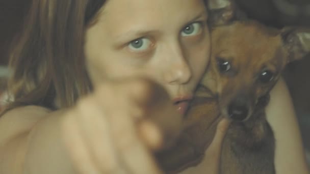 Sorrindo menina adolescente se divertindo com seu pequeno brinquedo terrier cachorrinho. 4K UHD . — Vídeo de Stock