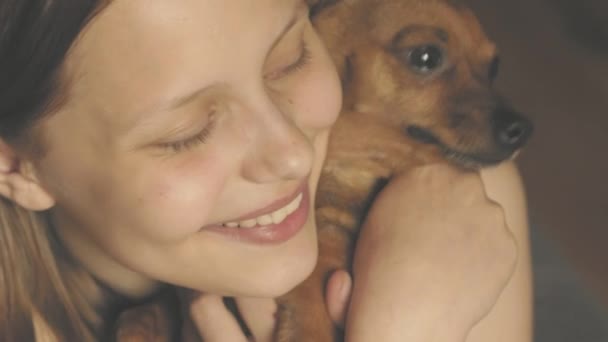 Sorrindo menina adolescente se divertindo com seu pequeno brinquedo terrier cachorrinho. 4K UHD . — Vídeo de Stock