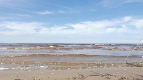 Seascape, Östersjön, våren — Stockvideo