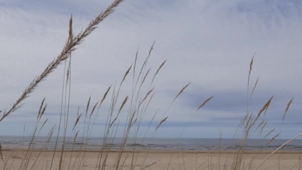 Морський пейзаж, Балтійського моря, весна — стокове відео