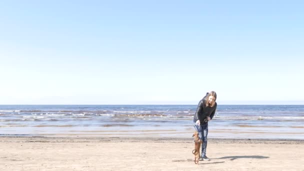 Flicka som leker med lilla vovven på seaside — Stockvideo