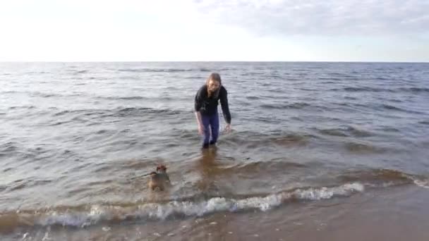 Meisje spelen met weinig hondje aan zee — Stockvideo