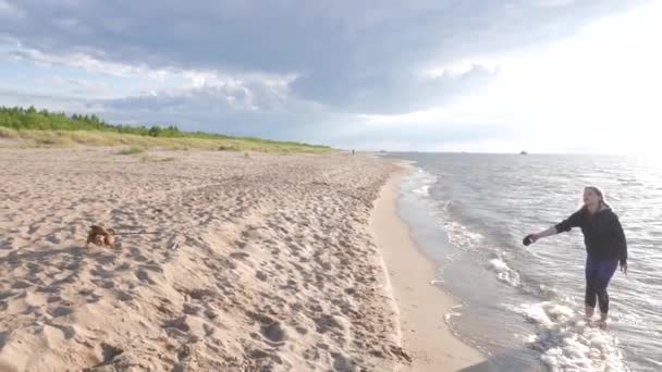 Девушка играет с собачкой на берегу моря — стоковое видео