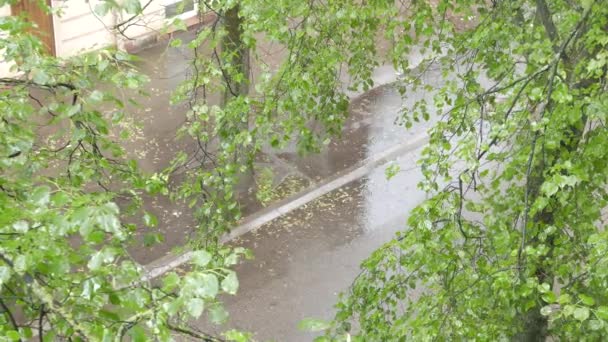 Pluie dans la ville, jour de pluie — Video