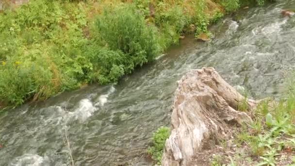 Чудесный мыс с водой в природе, река — стоковое видео