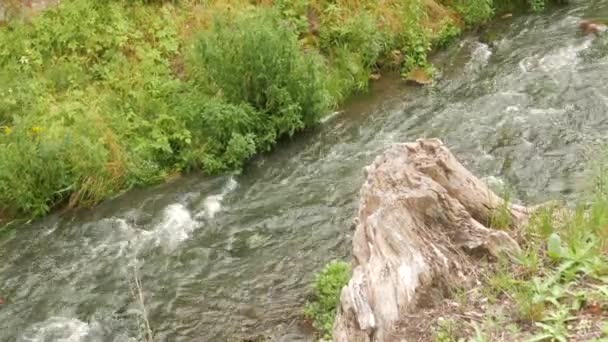 自然の中で水と素晴らしい海の風景川 — ストック動画