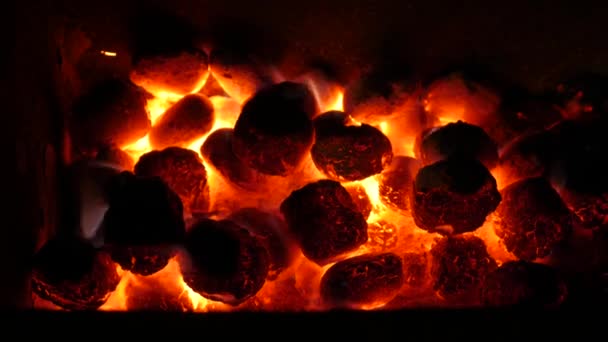 Уголь и огонь — стоковое видео