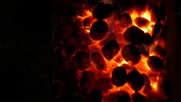 Modieuze riemkömür ve yangın — Stok video