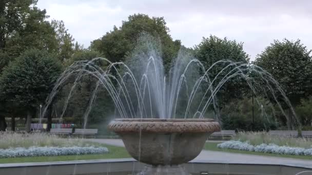 Fontaine dans un parc — Video