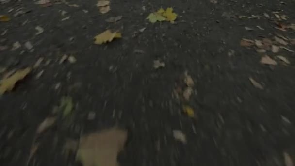 Promenade rapide à travers les feuilles d'automne — Video