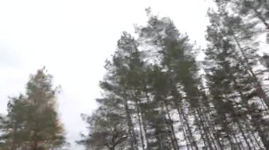 Açık yol, yağmurlu bir gün