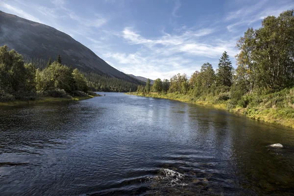 Naturlandschaft — Stockfoto