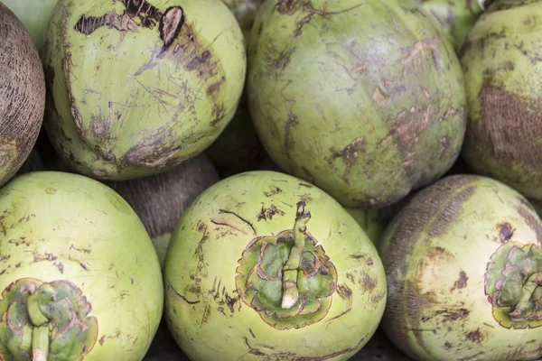 Fresh coconuts — Stock Photo, Image