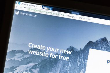 WordPress web sitesi