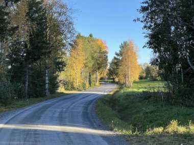 İsveç 'in Jamttland kentindeki açık mavi gökyüzünün altında renkli ağaçların arasından geçen manzaralı sonbahar yolu