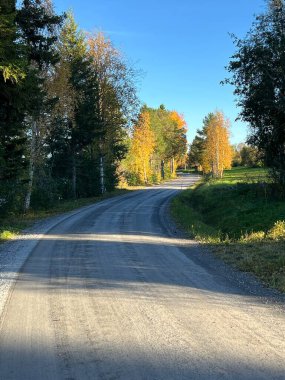İsveç 'in Jamtland kentindeki açık mavi gökyüzünün altında renkli sonbahar ağaçlarının arasından dolambaçlı kırsal bir yol..