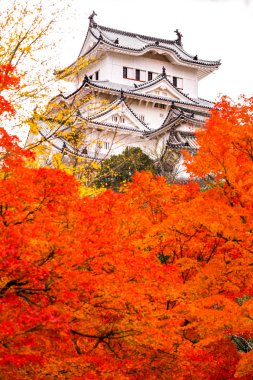 Himeji Kalesi, Japonya.