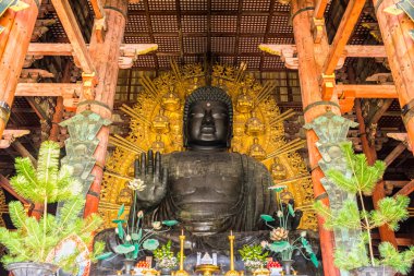 Büyük Buda Todai-ji Tapınağı: Nara, Japan.