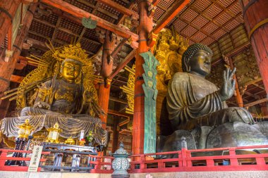 Büyük Buda Todai-ji Tapınağı: Nara, Japan.