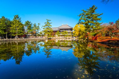 Japonya, Nara 'daki Todai-Ji Tapınağı.