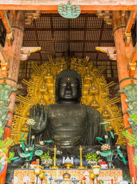Büyük Buda Todai-ji Tapınağı: Nara, Japan.