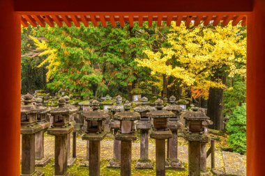 Kasuga Taisha: Nara, Japan