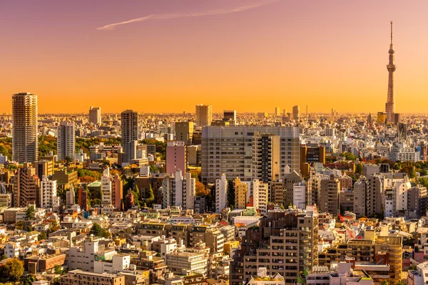 Tokyo manzarası, Japonya. — Stok fotoğraf