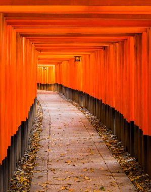 Fushimi Inari taisha tapınak Kyoto,