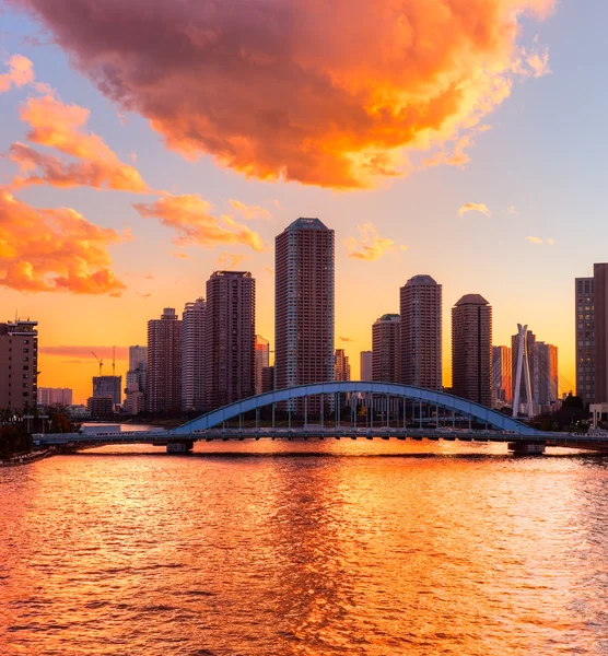 Tokio Skyline, Japan. — Stockfoto