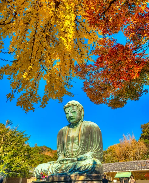 Kamakura Buddha, Japón . —  Fotos de Stock