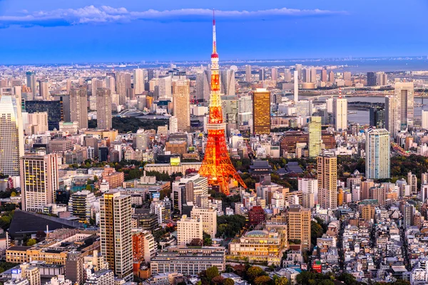 Görünüm Tokyo siluetinin Tokyo, Japonya. — Stok fotoğraf