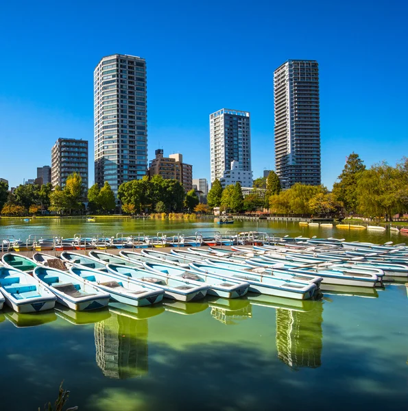 Ueno Park, Tokyo, Japan. — Stock Photo, Image