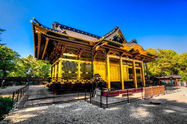 Tokyo Tosho-Gu Tapınak