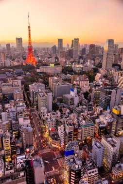 Tokyo siluetinin manzarasına