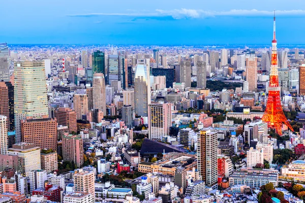 Tokyo siluetinin manzarasına — Stok fotoğraf