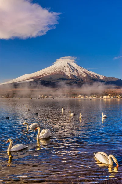 Mount Fuji w Japonii — Zdjęcie stockowe