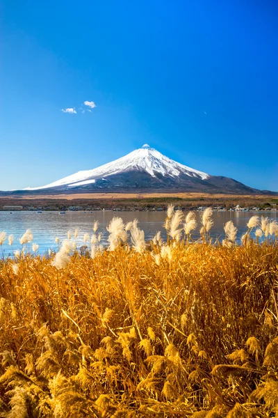 Monte fuji in Giappone — Foto Stock