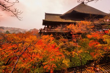 Kyoto, Japonya 'daki kiyomizu-dera tapınağı.