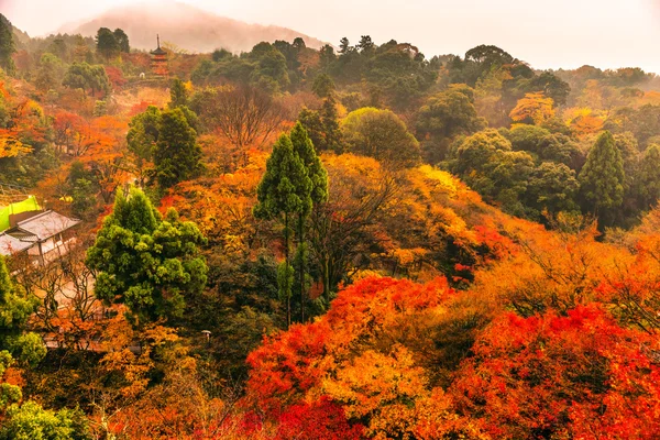 Templo kiyomizu dera en kyoto, Japón —  Fotos de Stock