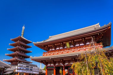 Sensoji-ji, tapınakta Asakusa, Tokyo, Japonya.
