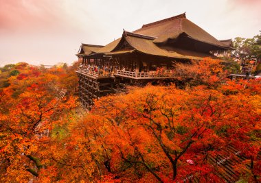 Kyoto, Japonya 'daki kiyomizu-dera tapınağı.