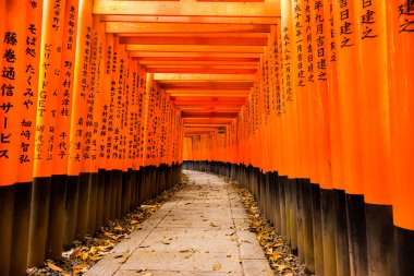 Fushimi Inari taisha tapınak Kyoto,