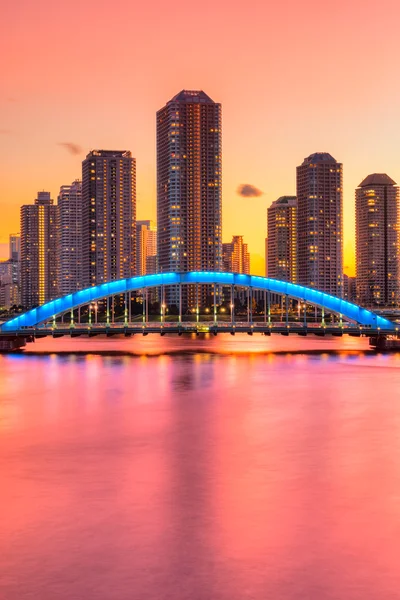 Tokio Skyline, Japan. — Stockfoto