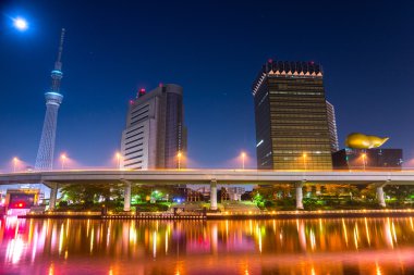 Tokyo manzarası, Japonya.