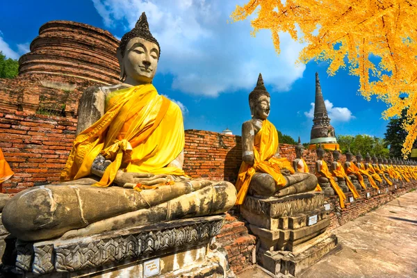 Sochy Buddhy v Ayutthaya, Thajsko, — Stock fotografie