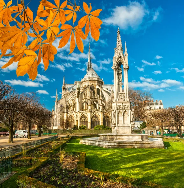 Notre dame de paris, francia. — Foto Stock