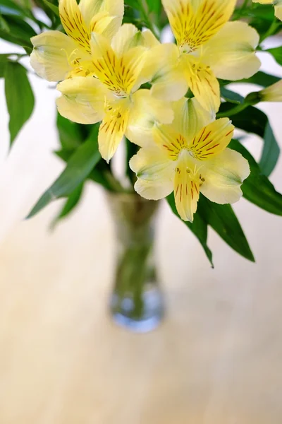 Flores frescas de primavera Claveles Copa Decoración de mesa de madera vieja — Foto de Stock