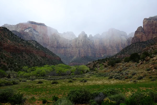 Zions Canyon with Rain Clouds Storms — Stock Photo, Image