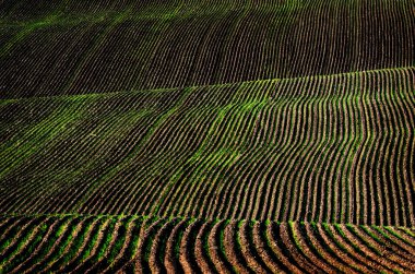 gozlerime alanındaki satırlar