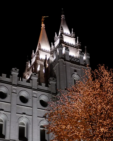 Salt Lake City Temple Square Christmas Lights — Stock Photo, Image